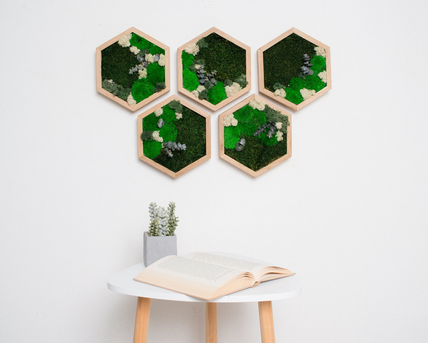 Stunning 3D Live Moss Art Wall Decor: Eco-Friendly, Natural Wood Christmas Gift Idea!