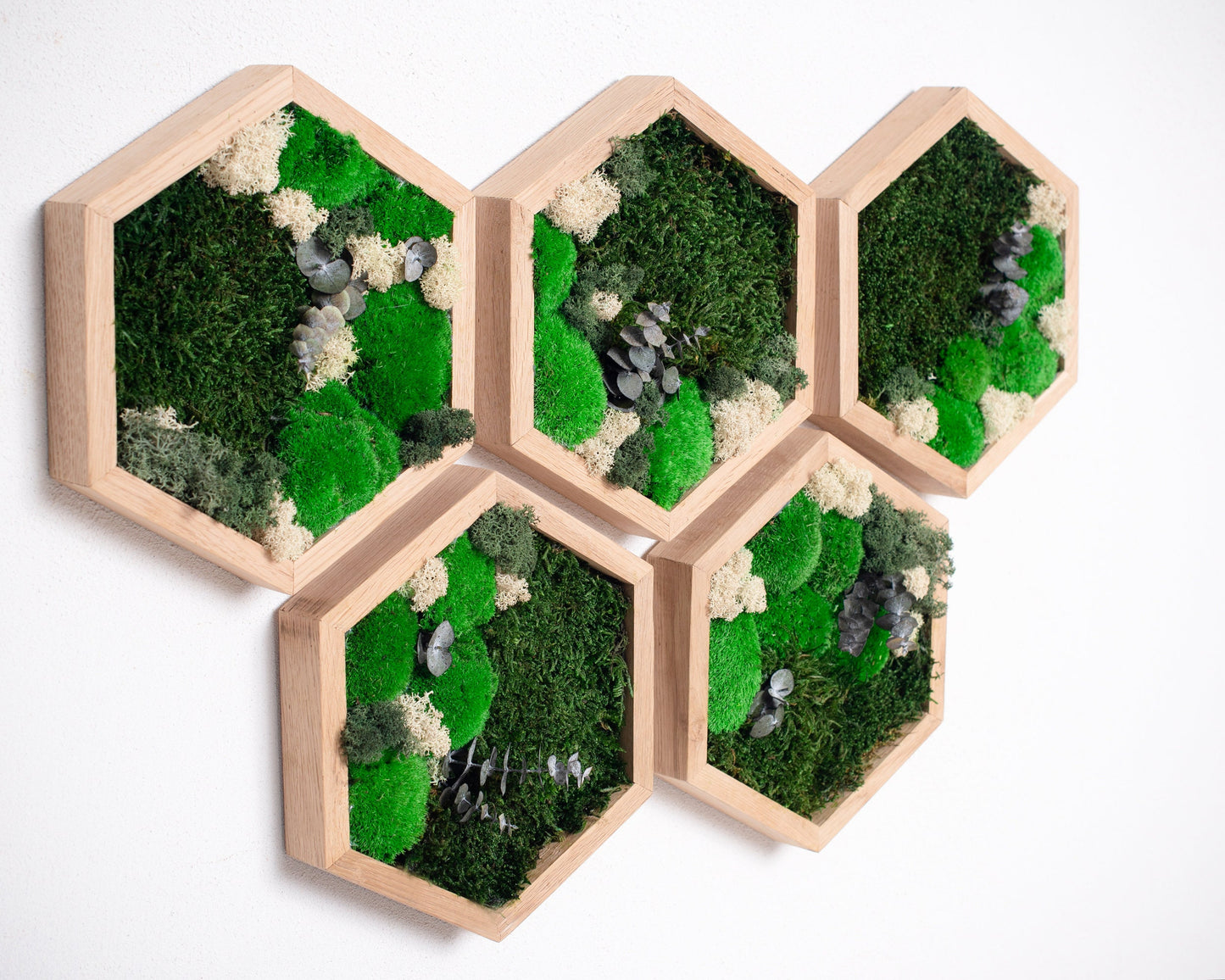 Stunning 3D Live Moss Art Wall Decor: Eco-Friendly, Natural Wood Christmas Gift Idea!