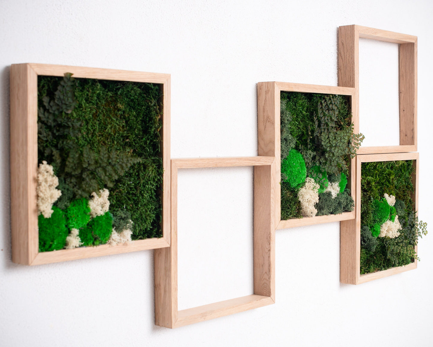 Preserved Moss Art Panels: The Perfect Christmas Gift for Home Decoration Enthusiasts!