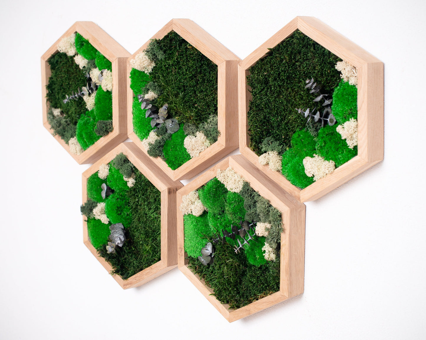 Stunning 3D Live Moss Art Wall Decor: Eco-Friendly, Natural Wood Christmas Gift Idea!