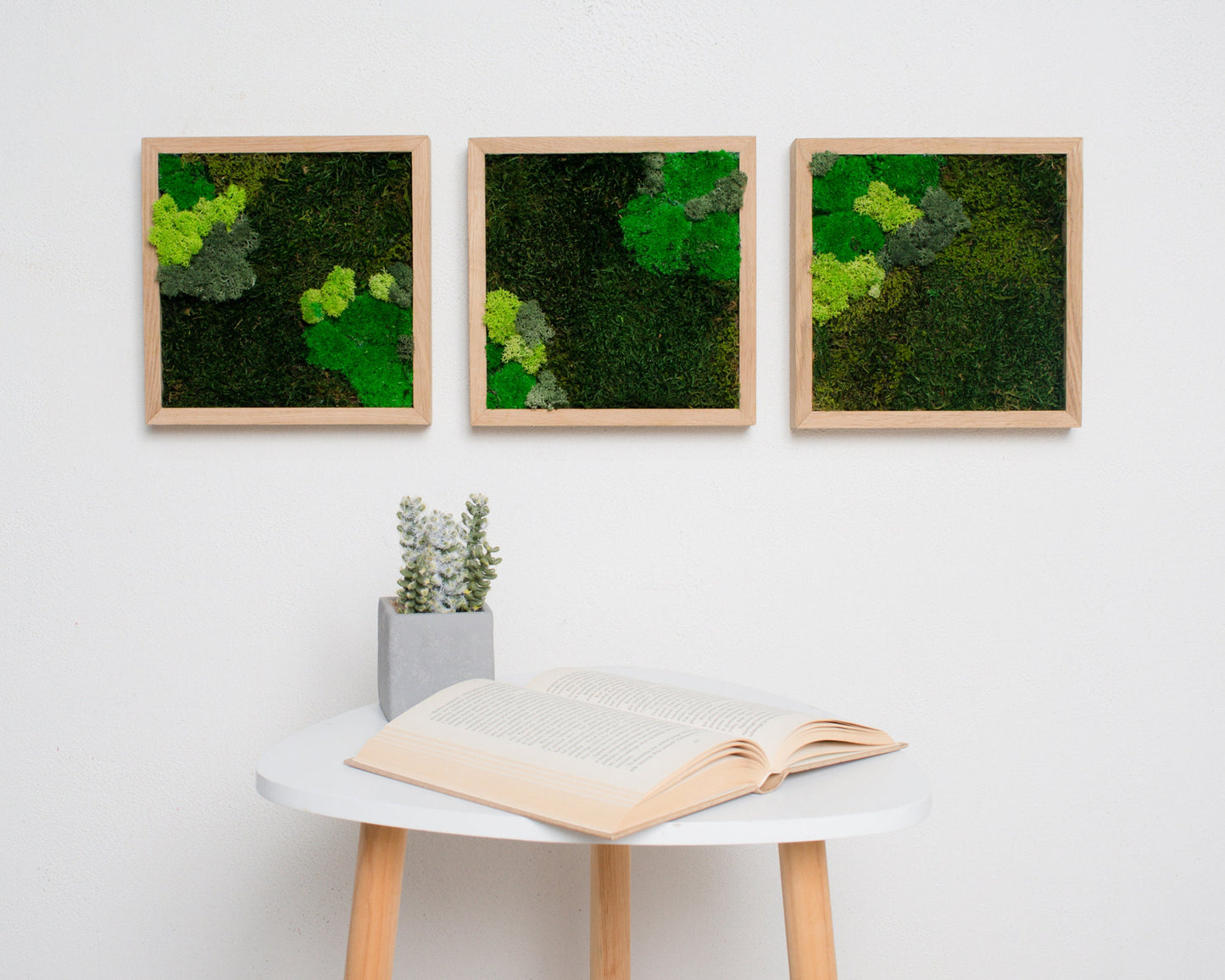 Experience the Magic of Nature with Our Eco-Friendly Reindeer Moss Wall Art Set of 3