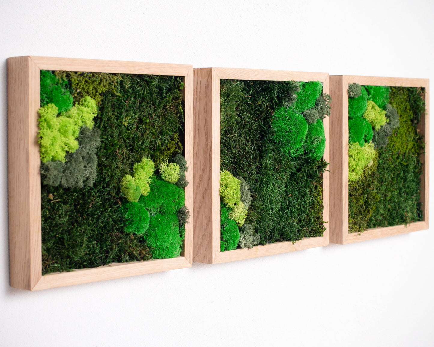 Experience the Magic of Nature with Our Eco-Friendly Reindeer Moss Wall Art Set of 3