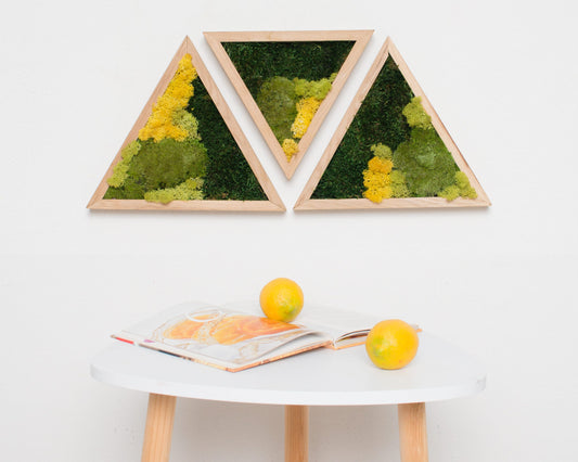 Minimalist Moss Living Wall Art: The Perfect Christmas Gift for Minimalist Decor Lovers