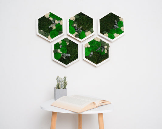 Stunning 3D Live Moss Art Wall Decor: Eco-Friendly, Natural Wood Christmas Gift Idea!