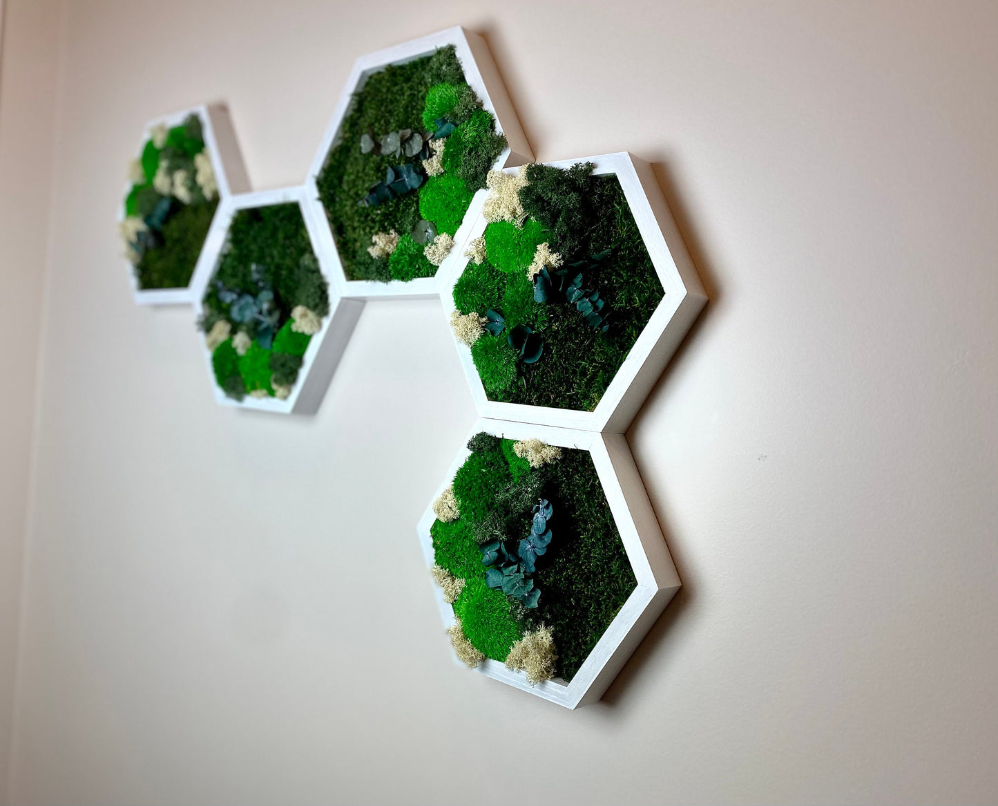 Enchant Your Space with Large Reindeer Moss Honeycomb Wall Art - Perfect Christmas Gift!