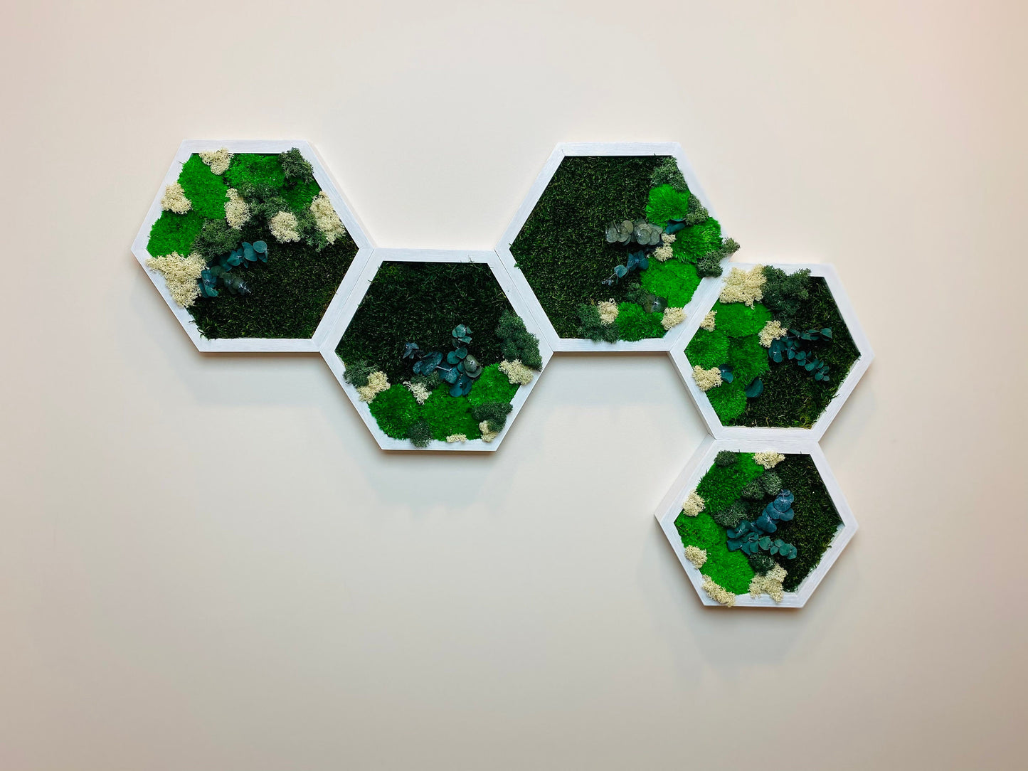 Enchant Your Space with Large Reindeer Moss Honeycomb Wall Art - Perfect Christmas Gift!