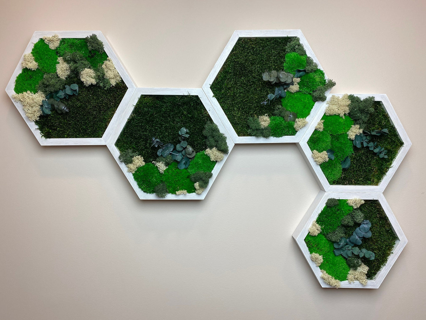 Enchant Your Space with Large Reindeer Moss Honeycomb Wall Art - Perfect Christmas Gift!