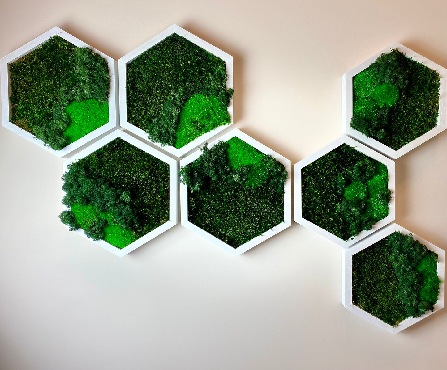 3D Moss Wall Art: Natural Wood Honeycomb Hexagons - Perfect Settler's Christmas Gift!