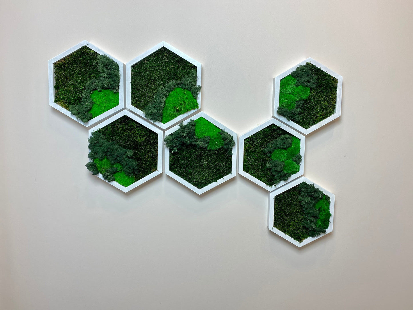 3D Moss Wall Art: Natural Wood Honeycomb Hexagons - Perfect Settler's Christmas Gift!