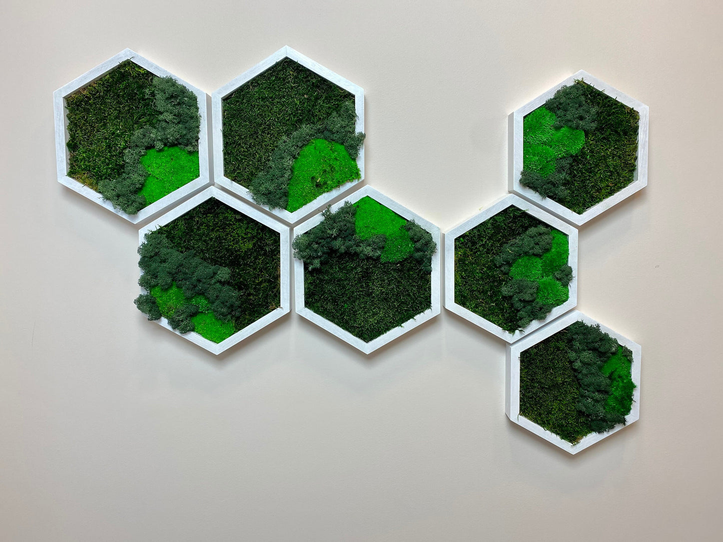 3D Moss Wall Art: Natural Wood Honeycomb Hexagons - Perfect Settler's Christmas Gift!