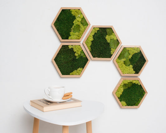 Hexagon Moss Art: Eco-Friendly Wall Decor, Perfect Housewarming & Christmas Gift!