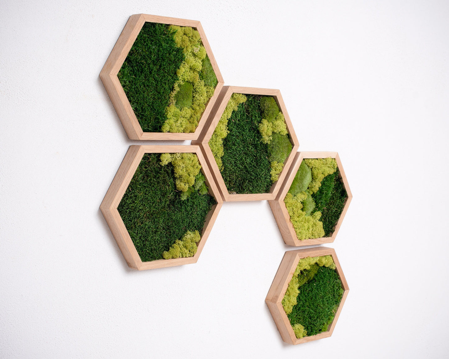 Hexagon Moss Art: Eco-Friendly Wall Decor, Perfect Housewarming & Christmas Gift!