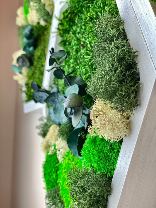 Enchant Your Space with Large Reindeer Moss Honeycomb Wall Art - Perfect Christmas Gift!