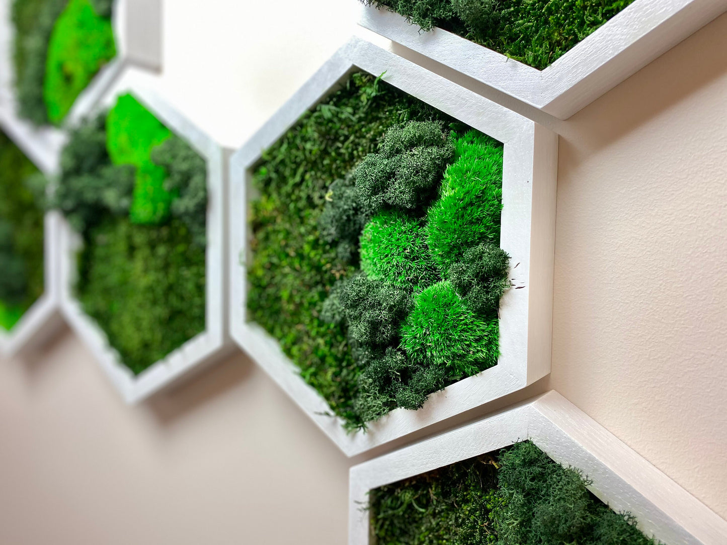 3D Moss Wall Art: Natural Wood Honeycomb Hexagons - Perfect Settler's Christmas Gift!