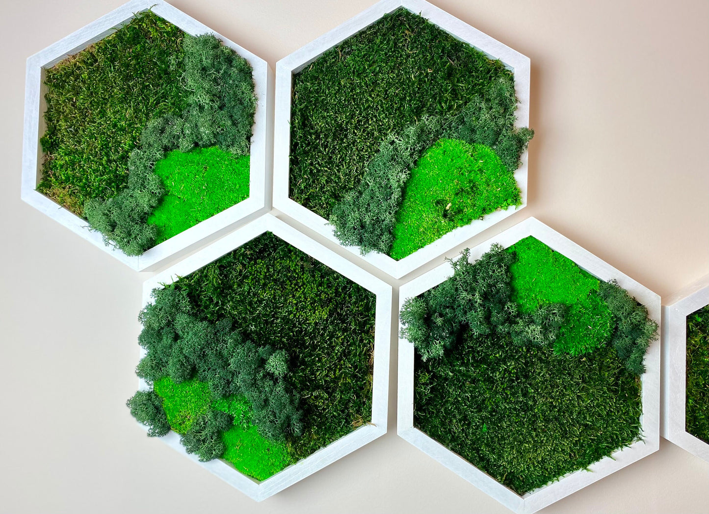 3D Moss Wall Art: Natural Wood Honeycomb Hexagons - Perfect Settler's Christmas Gift!