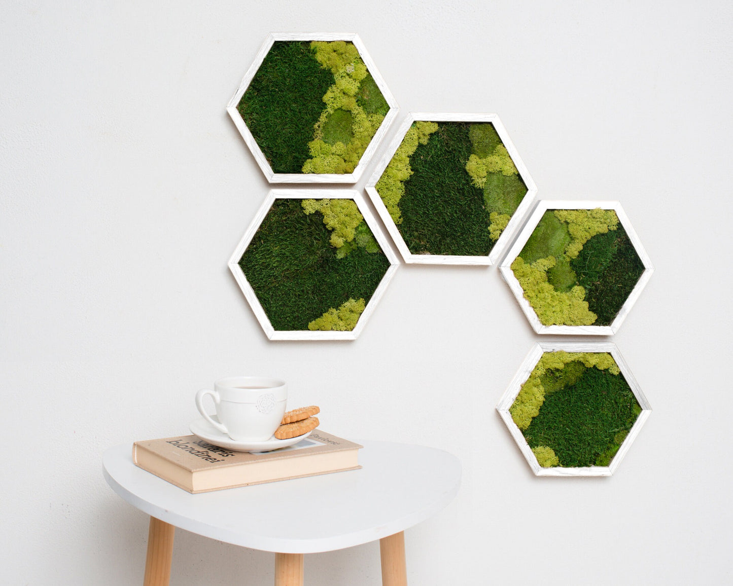 Hexagon Moss Art: Eco-Friendly Wall Decor, Perfect Housewarming & Christmas Gift!
