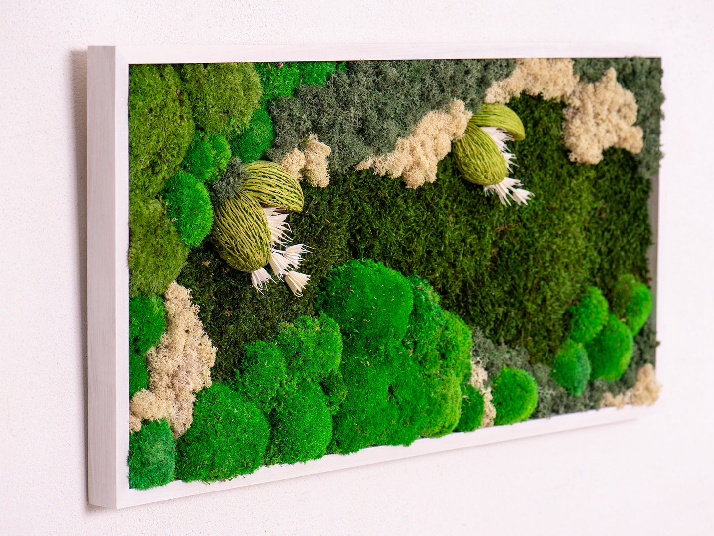 Transform Your Space: Lush Greenery Wall Art, Preserved Moss Frames for Home & Office!