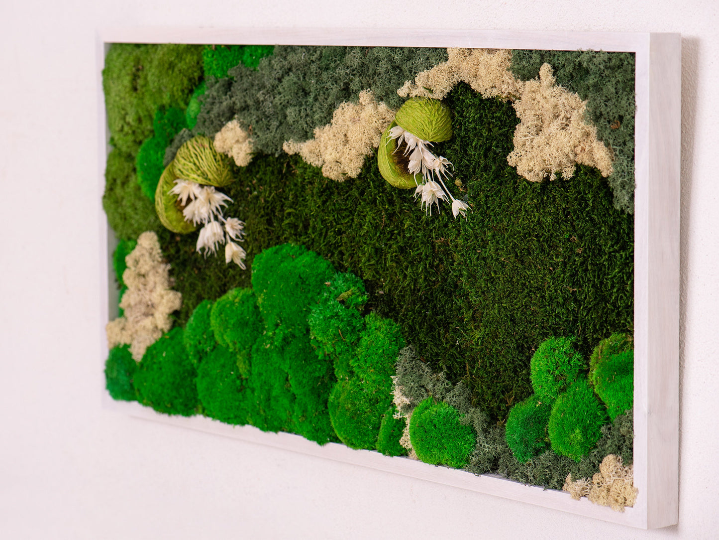 Transform Your Space: Lush Greenery Wall Art, Preserved Moss Frames for Home & Office!