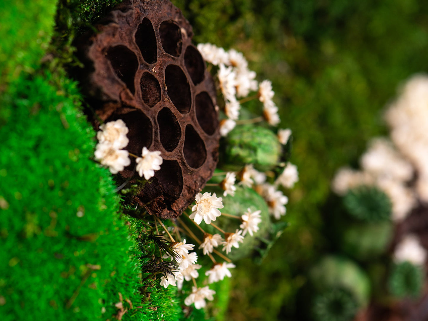 Experience the Magic of Nature Indoors with Our Eco-Friendly Preserved Moss Wall Art!