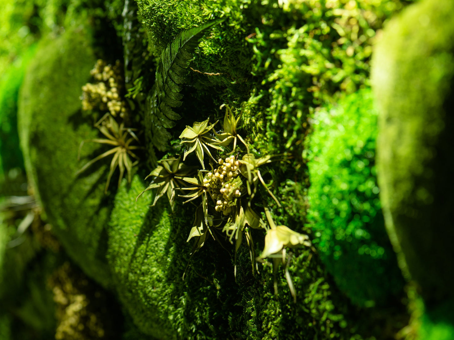 Light Up Your Space: LED Moss Artwork - Unique Wall Hanging Gift for Him & Her