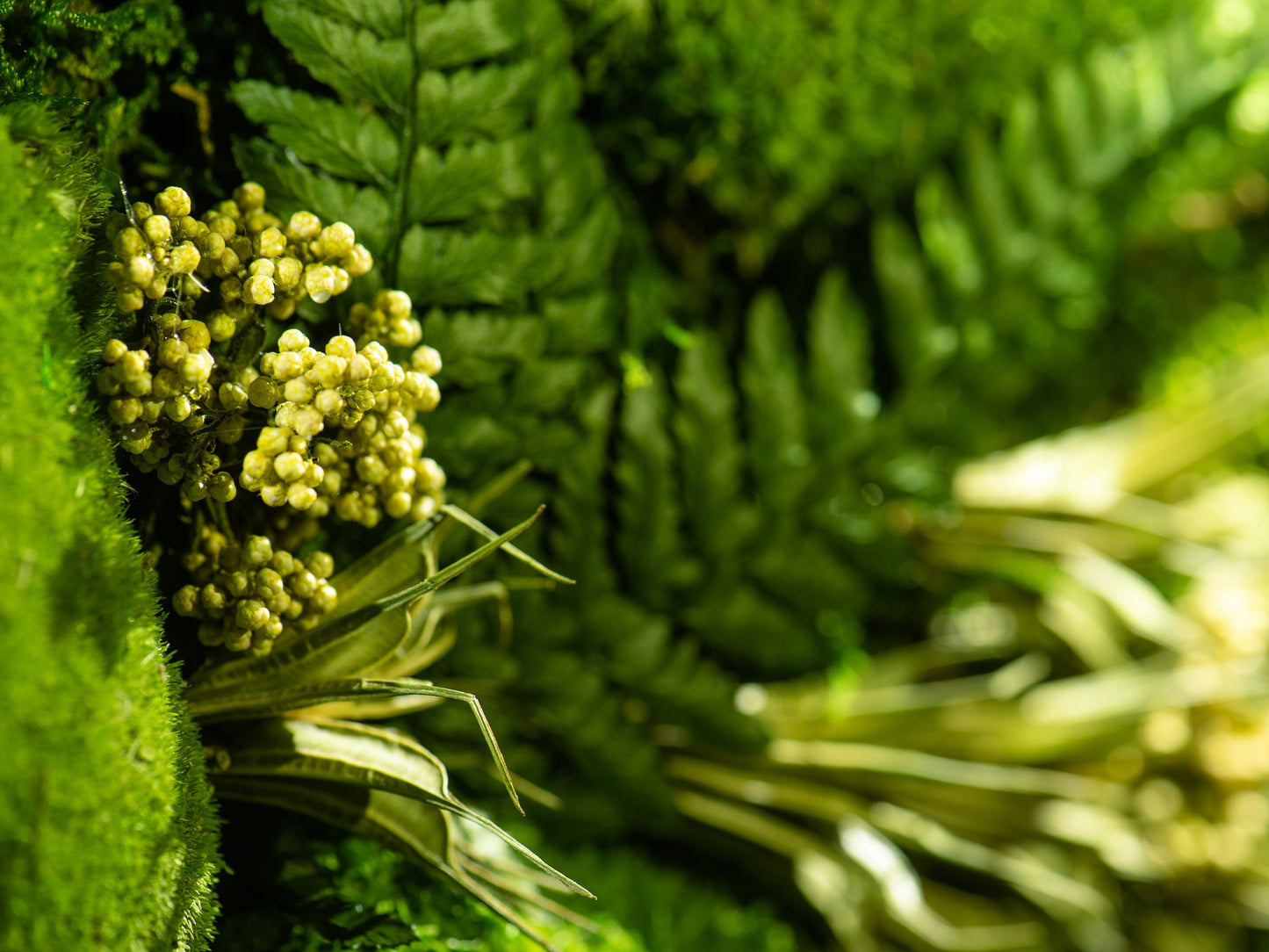 Light Up Your Space: LED Moss Artwork - Unique Wall Hanging Gift for Him & Her