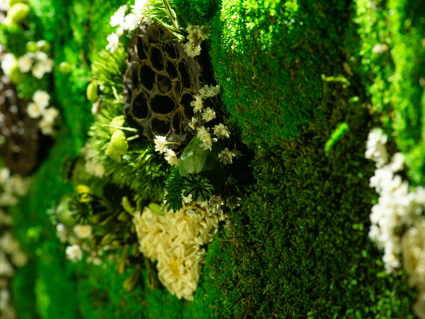 LED-Backlit Preserved Moss Art: Eco-Friendly, Green Wall Decor for Home & Birthday Gifts!