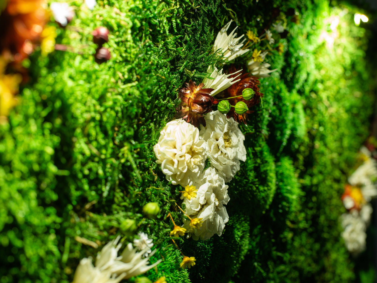 Enchanting LED Moss Artwork: The Perfect Housewarming Gift and Christmas Surprise!