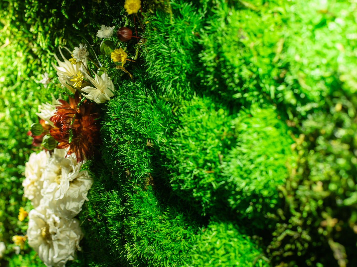 Enchanting LED Moss Artwork: The Perfect Housewarming Gift and Christmas Surprise!