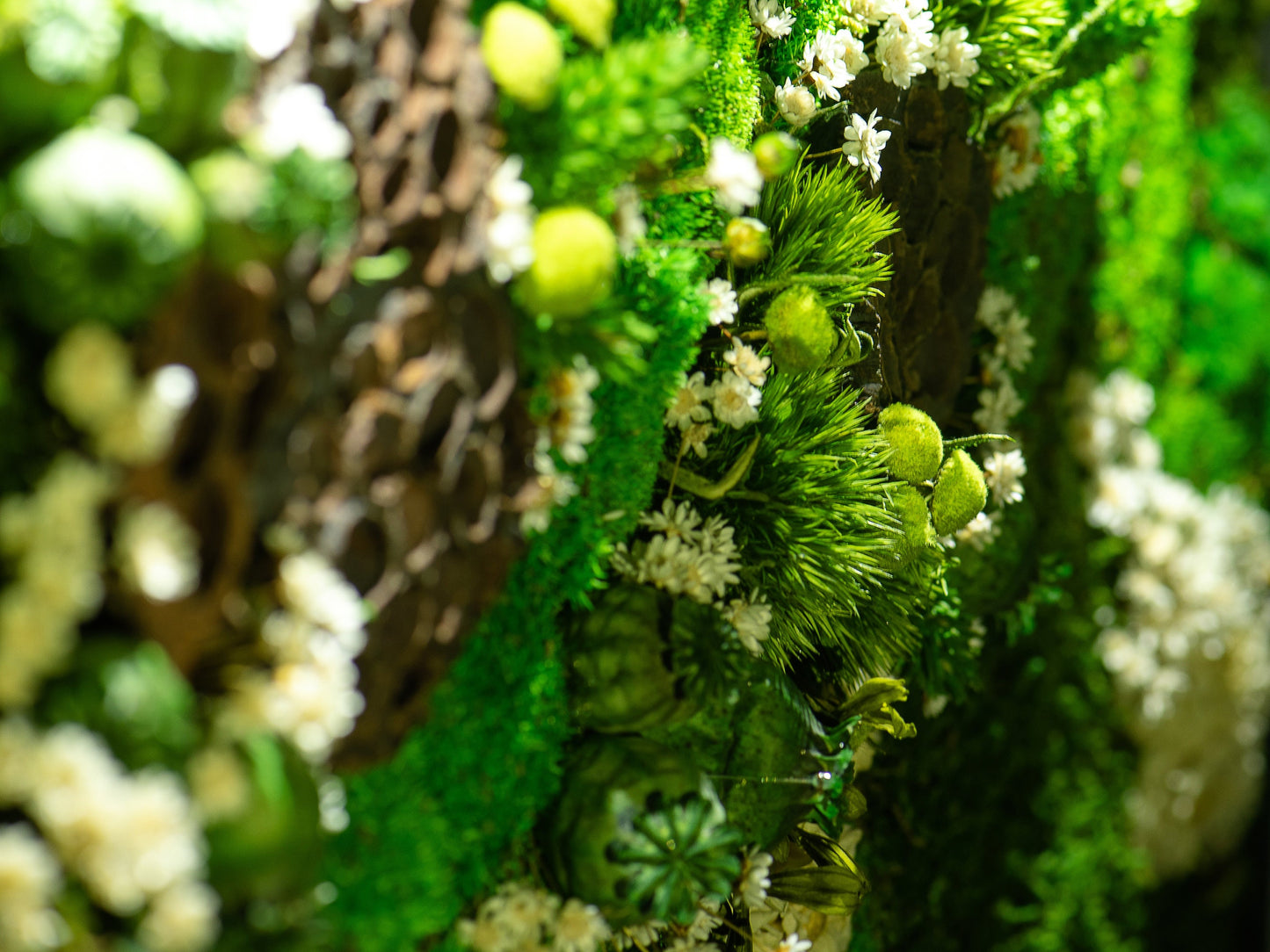 LED-Backlit Preserved Moss Art: Eco-Friendly, Green Wall Decor for Home & Birthday Gifts!