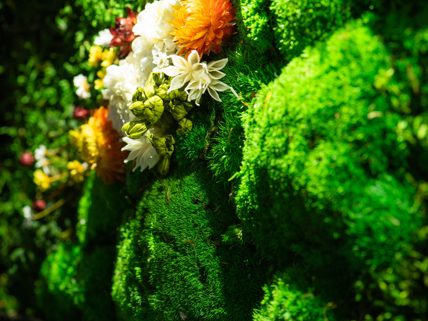 Enchanting LED Moss Artwork: The Perfect Housewarming Gift and Christmas Surprise!