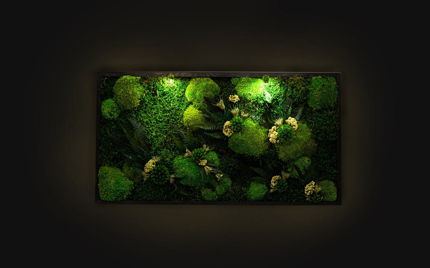 Light Up Your Space: LED Moss Artwork - Unique Wall Hanging Gift for Him & Her
