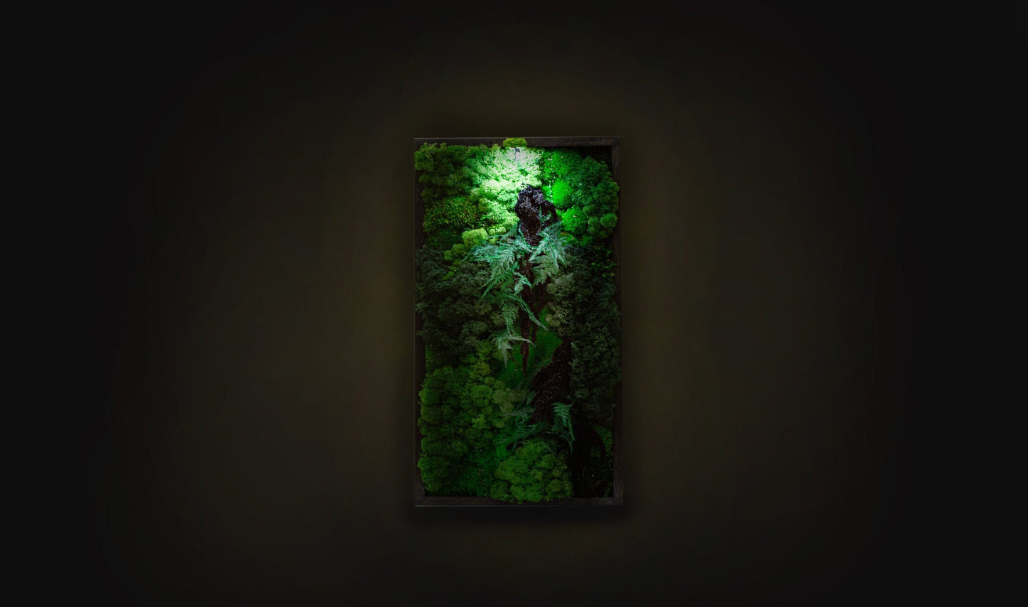 Lighted Moss Wall Art: Unique Christmas Gift for Her, Perfect Couple's Home Decor!