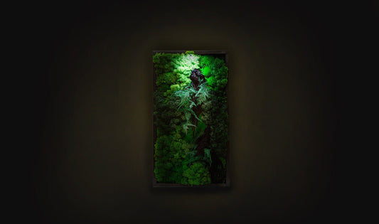 Lighted Moss Wall Art: Unique Christmas Gift for Her, Perfect Couple's Home Decor!