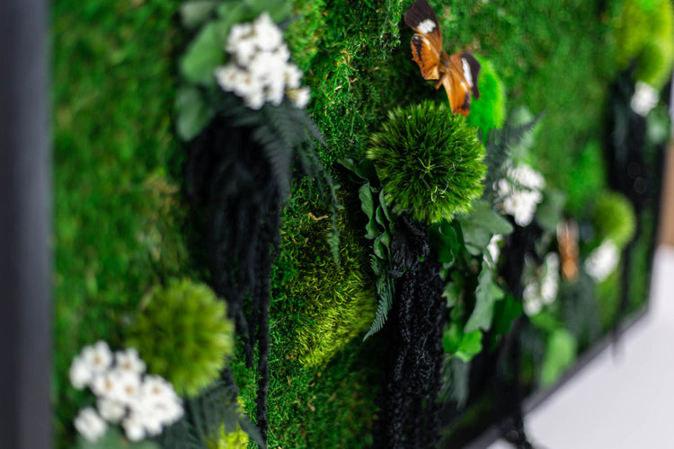 How to Build a Moss Wall With Reindeer Moss 