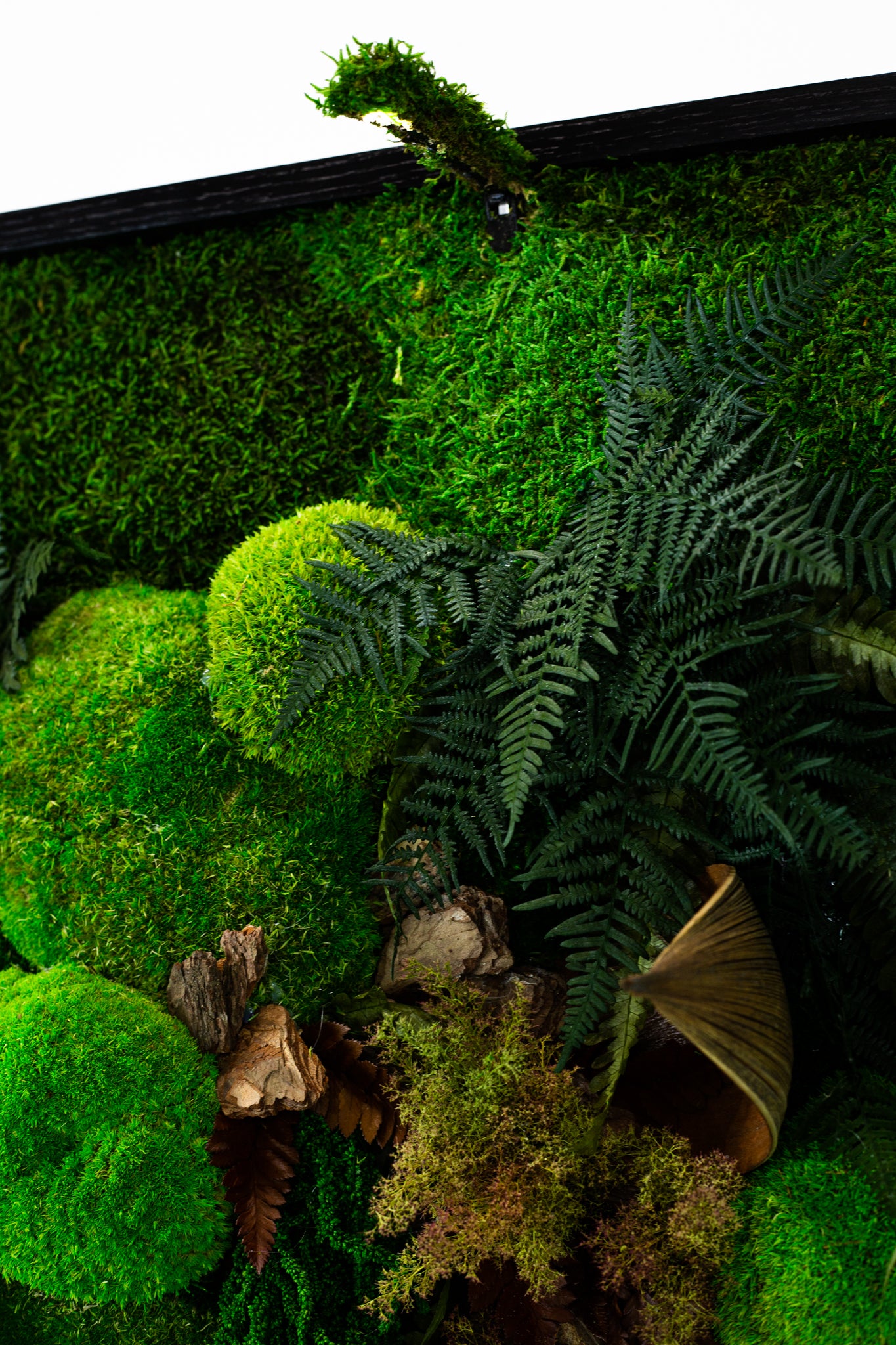 Wild Jungle Handmade Plant Artwork | Moss Artwork | Natural Oak and Plants Art | Unique Home Decor Piece | Original LED Wall Art