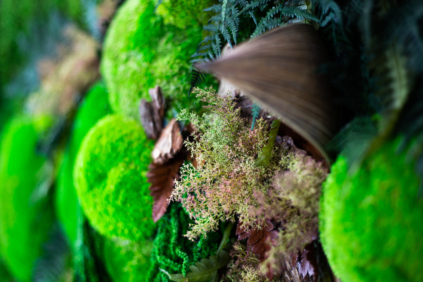 Wild Jungle Handmade Plant Artwork | Moss Artwork | Natural Oak and Plants Art | Unique Home Decor Piece | Original LED Wall Art