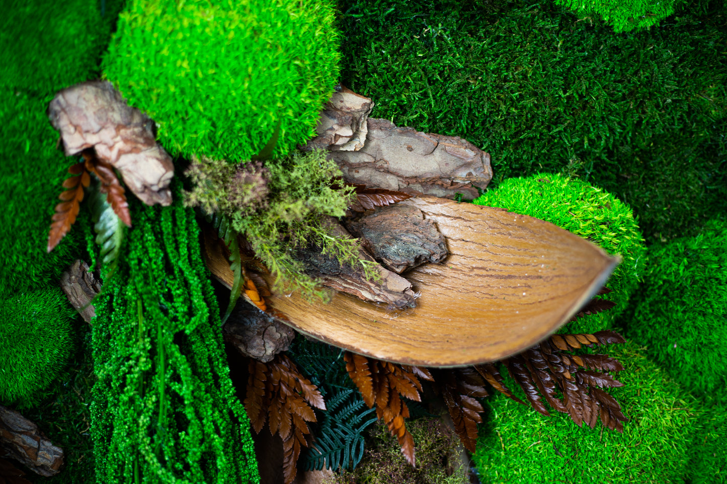 Wild Jungle Handmade Plant Artwork | Moss Artwork | Natural Oak and Plants Art | Unique Home Decor Piece | Original LED Wall Art