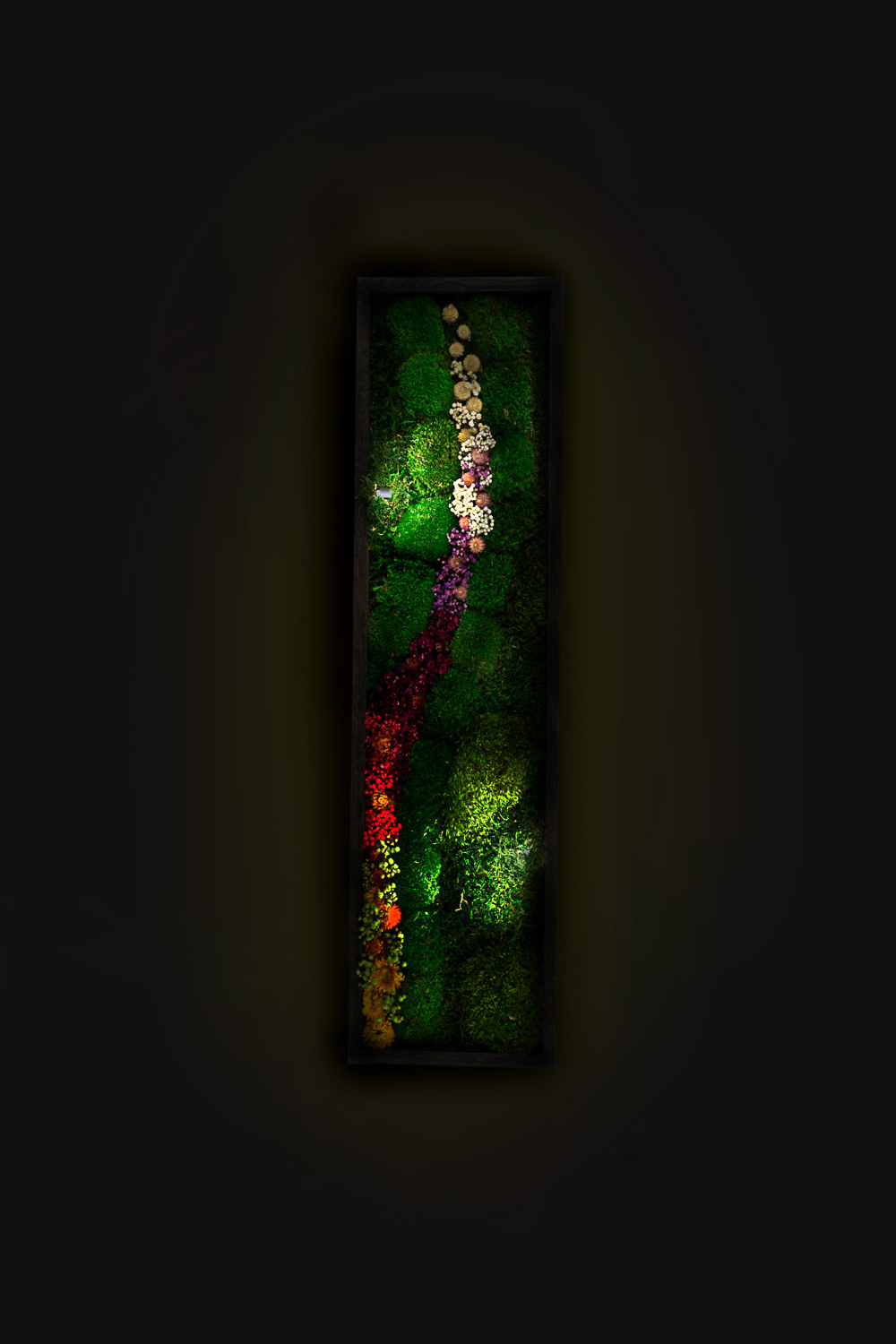 Handmade Plant Artwork | Moss Artwork | Natural Oak and Plants Wall Art | Unique Home Decor Piece | LED Light Wall Art