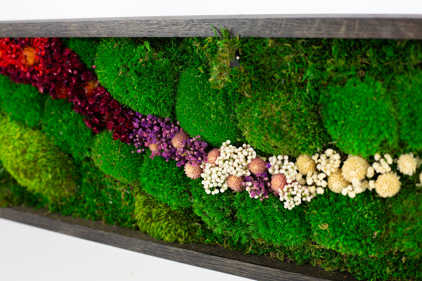 Handmade Plant Artwork | Moss Artwork | Natural Oak and Plants Wall Art | Unique Home Decor Piece | LED Light Wall Art
