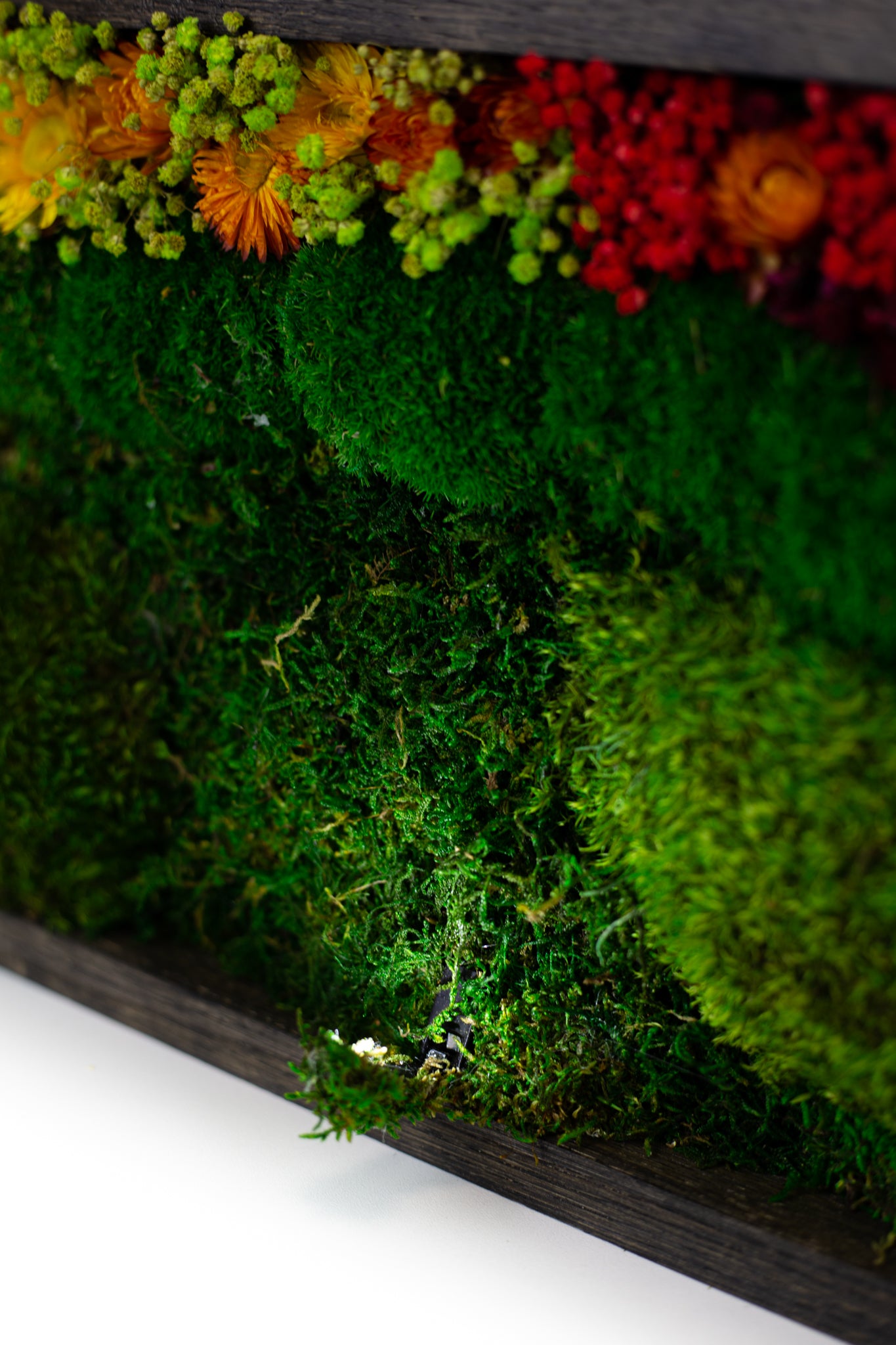 Handmade Plant Artwork | Moss Artwork | Natural Oak and Plants Wall Art | Unique Home Decor Piece | LED Light Wall Art