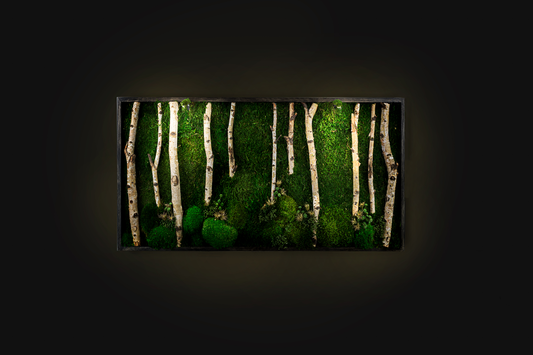 Woods Handmade Plant Artwork | Moss Artwork | Natural Oak and Plants Wall Art | Unique Home Decor Piece | Original LED Wall Art