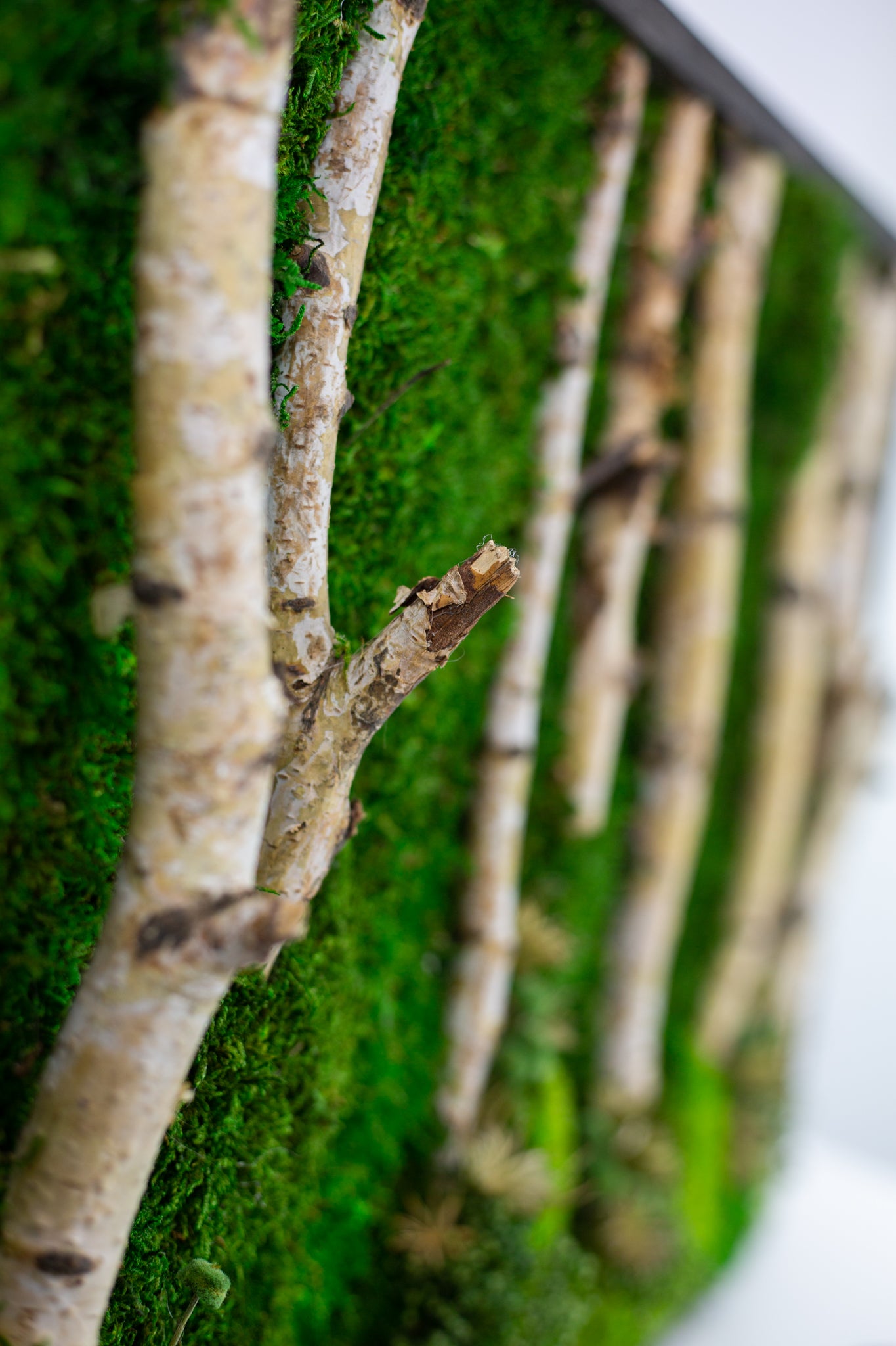 Woods Handmade Plant Artwork | Moss Artwork | Natural Oak and Plants Wall Art | Unique Home Decor Piece | Original LED Wall Art