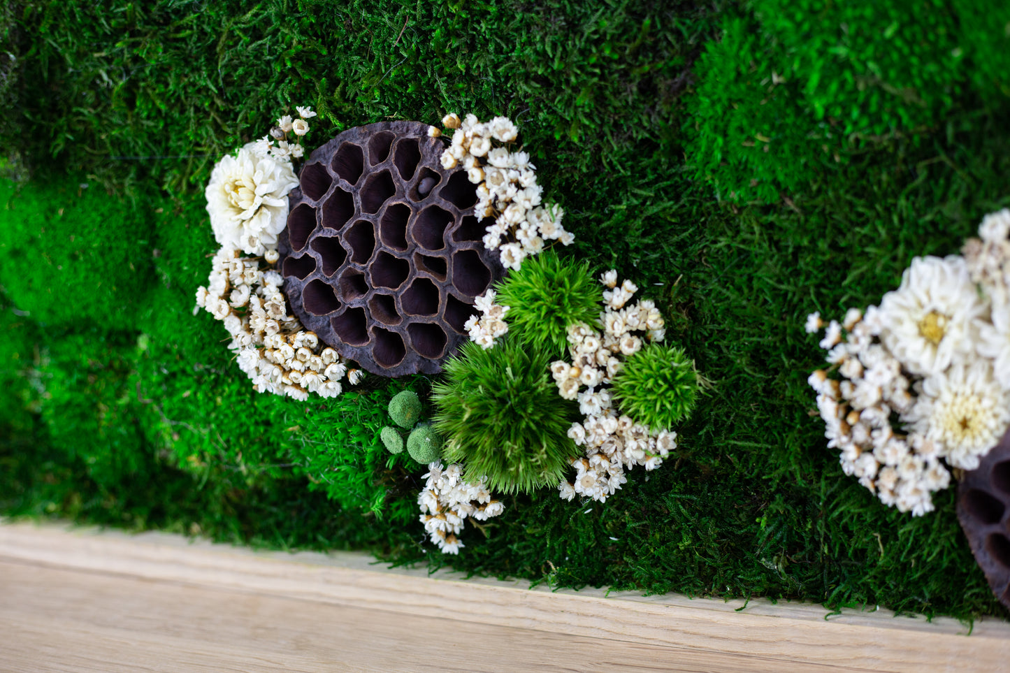 Authentic Preserved Moss Wall Art with LED Lights and Live Moss For Office or Home 1 piece frame