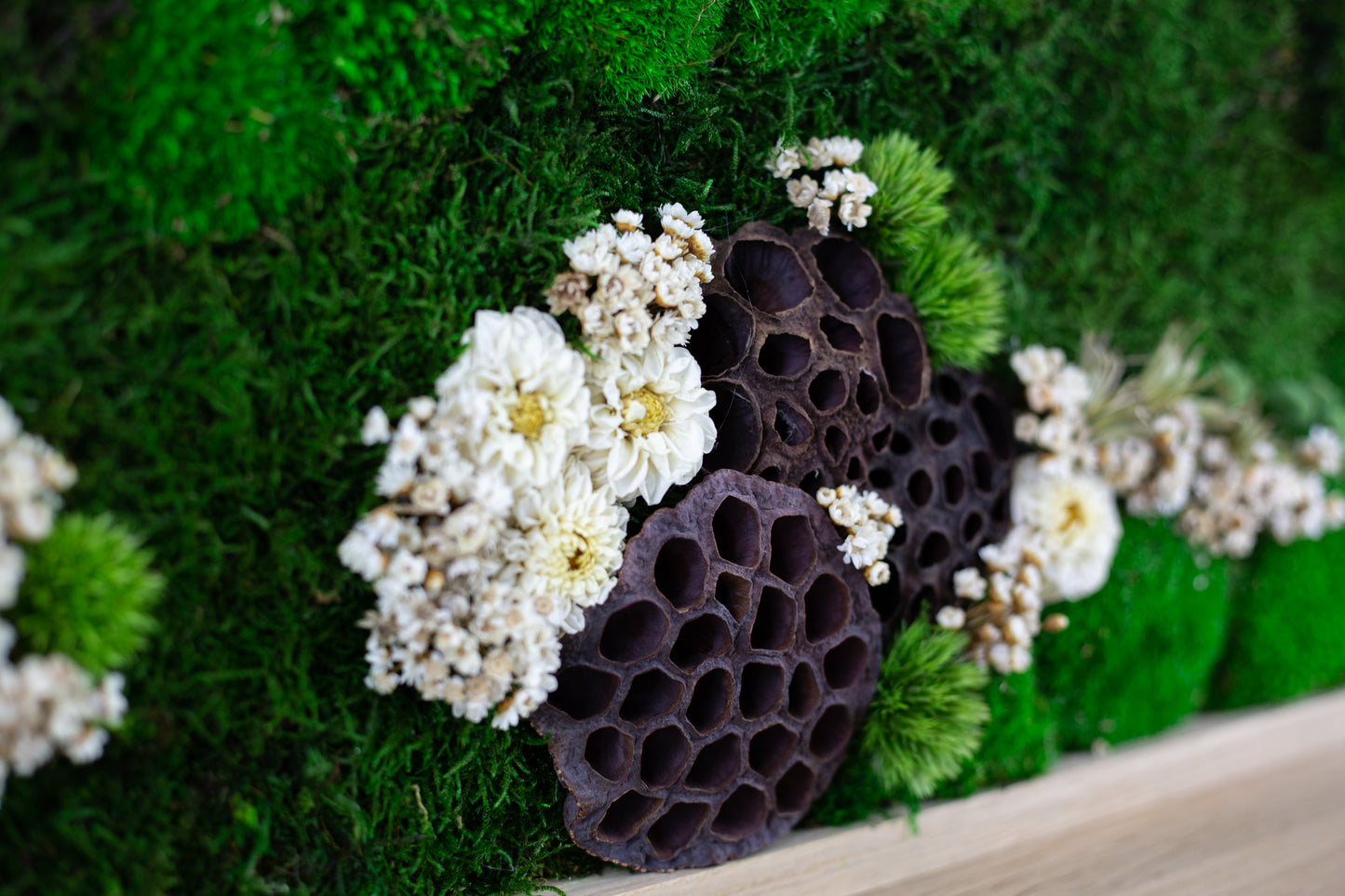 Garden Handmade Plant Artwork | Moss Artwork | Natural Oak and Plants Wall Art | Unique Home Decor Piece | Original LED Wall Art