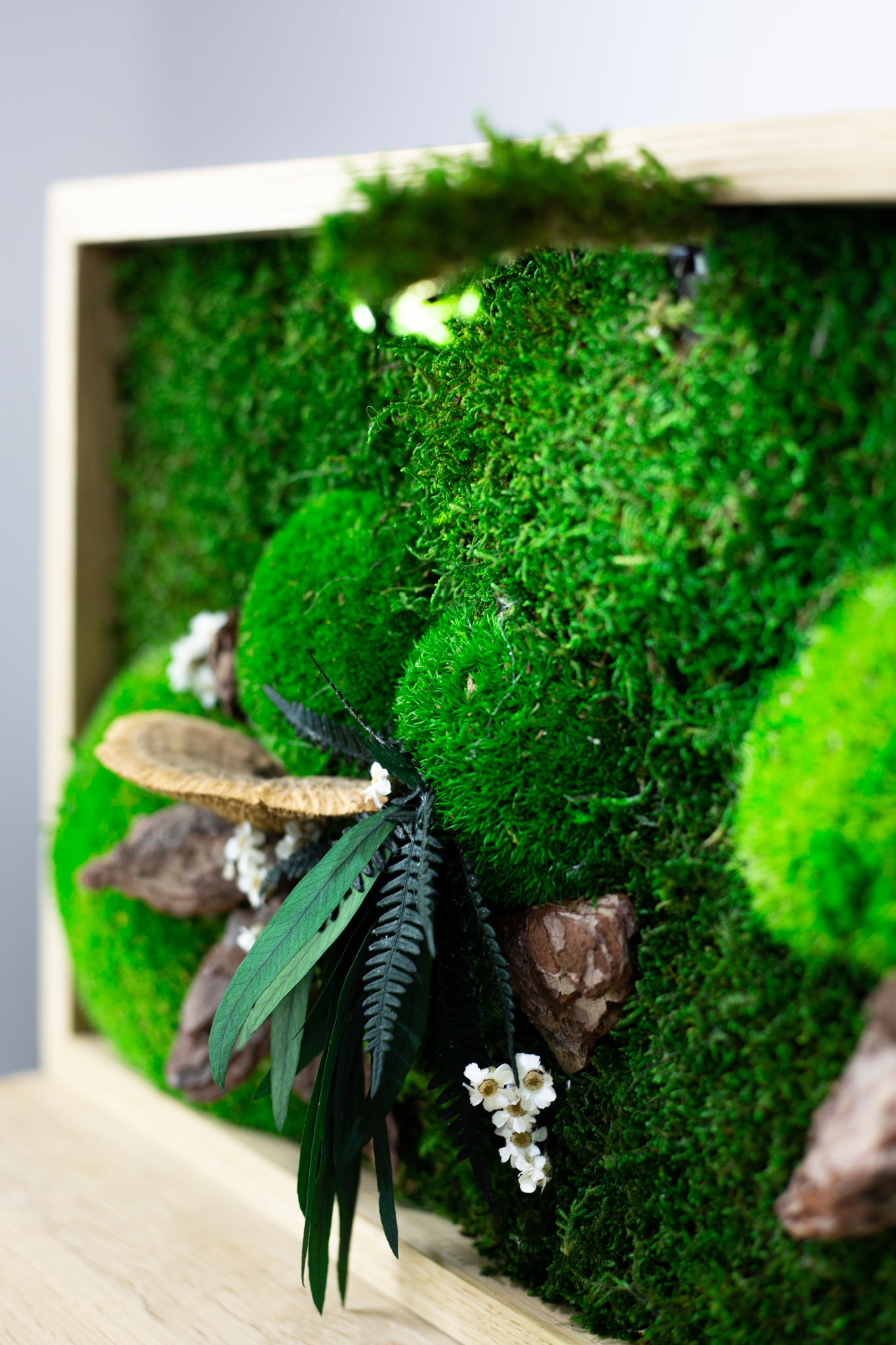 Lovely Green Wall Art Preserved Moss Artwork  with LED Lights and Live Moss For Office or Home 1 piece frame