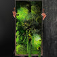 NEW!! Wall Art Preserved Moss Lighted Framed Beautiful Preserved Moss Artwork with LED Lights Live Moss LED Moss Wall Art Eco-Friendly Decor