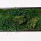 Revitalize Your Space with Unique 3D Hands Moss Wall Art - The Greenwall Masterpiece!