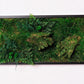 Green Your Space: Eco-Friendly Framed Moss Art for Unique Interior Wall Decorations