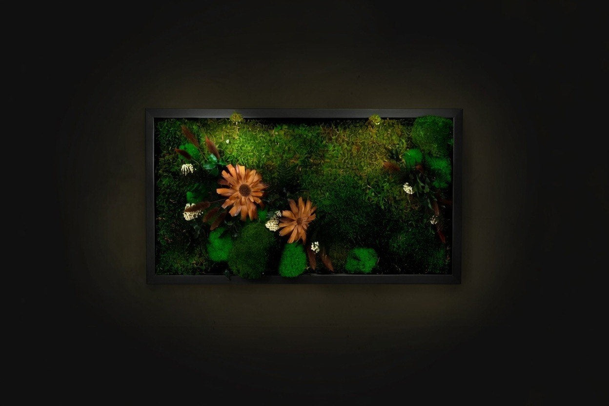 Premium Preserved Moss Wall Art Green Wall Décor with LED Lights Moss LED Wall Hanging Framed Plant Green Room Interior Housewarming Gift