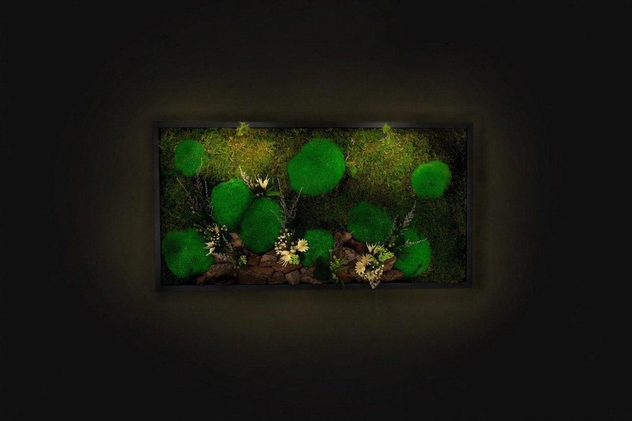 Stunning Green Wall Décor Preserved Moss Wall Art with LED Lights Preserved Moss LED Wall Hanging Framed Plant Home Interior Gift for Home